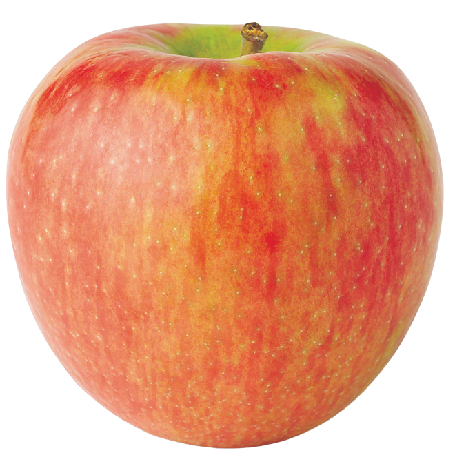 apple-honeycrisp.png