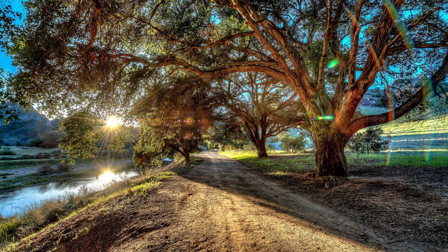 i1461497_yeshaira-robles9.jpg