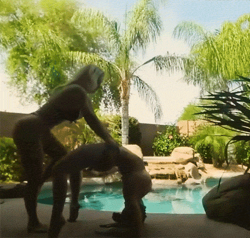 tumblr_nnoi3ciKOc1sp946qo2_500.gif