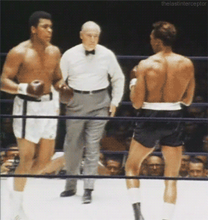 tumblr_mmeyikz2j21qhq58jo1_r1_400.gif