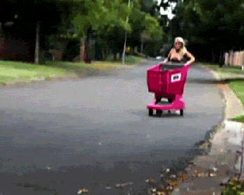 R06v.gif