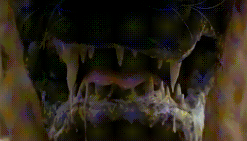 a391806949d5232d2731bbee18e35183.gif