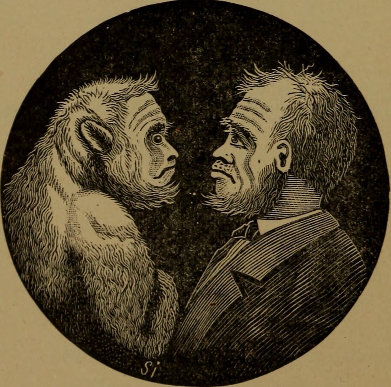 humanzee-beginning.jpg