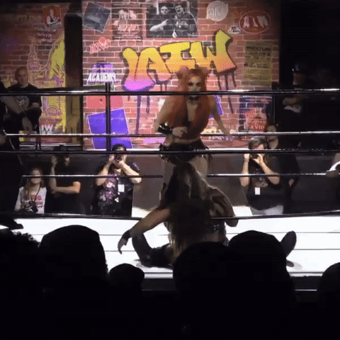 IMG_6359c096217c44212c39.gif