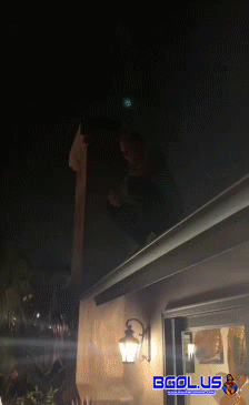 fail.gif