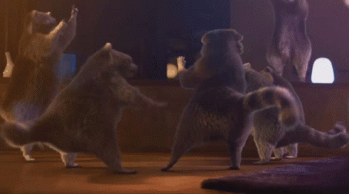 raccoon-dancing.gif