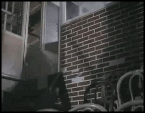 rbbhoi.gif