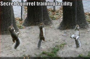 secret-squirrel.jpg