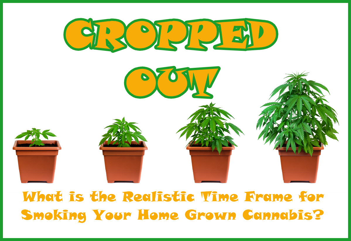 3743_uAck_howlongdoesittaketogrowweed.jpg