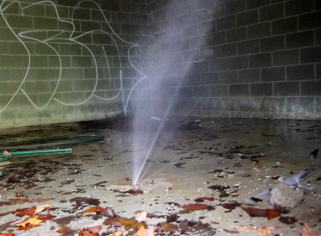 Water-leaks2-1024x753.jpg