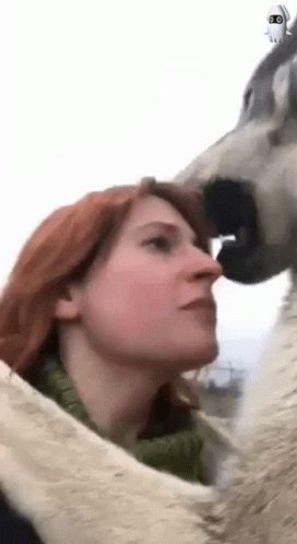 b2f013c0a4668f9213981f17efad1a58.gif