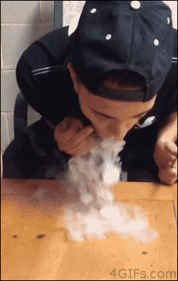 tumblr_mtaisqbsal1qdlh1io1_250.gif