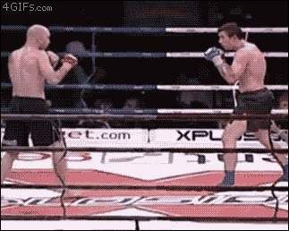tumblr_mb8s8kYBPR1qdlh1io1_400.gif