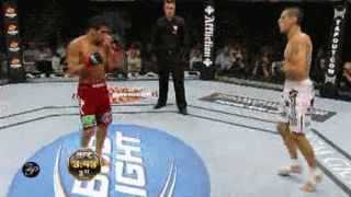 4.gif