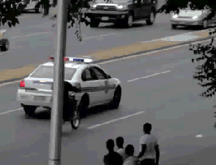 tumblr_ms1xp10xLF1qzfebyo1_400.gif