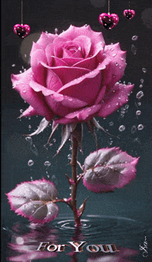 rose-fleur.gif