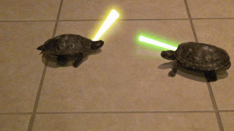 tumblr_mid9i5qI3b1qb5gkjo1_500.gif