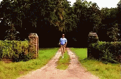 run-forest-gump.gif