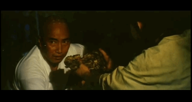 1432914697Shifu_Sneaks_Some_Meat.gif