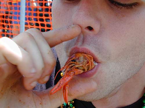 peel.and.eat.6.jpg
