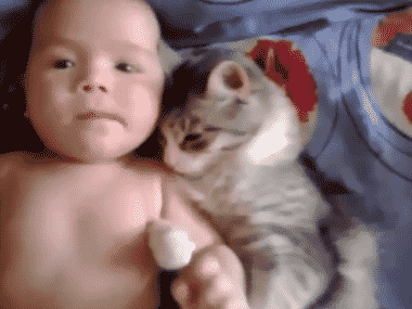 tumblr_mqe8g0tsdM1qbyxr0o1_400.gif