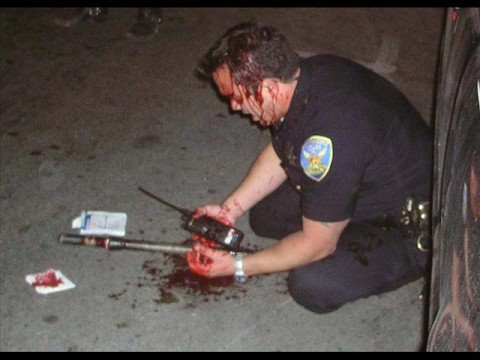 hqdefault.jpg