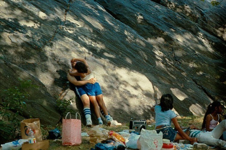 Central Park Picnic
