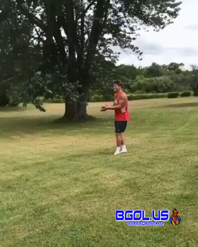 1.gif