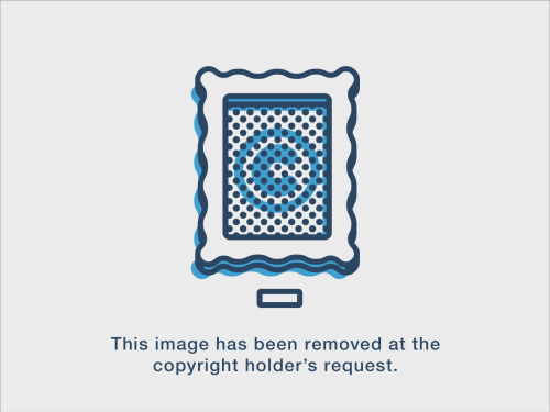 tumblr_n3z0tqGBIQ1rokot3o1_500.jpg