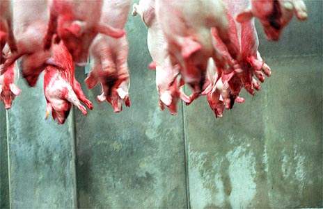 061600leduff-meat-pix.2a.jpg