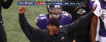 ray_medium.gif