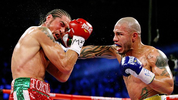 box_g_cotto13_576.jpg