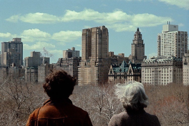 New York From Central Park