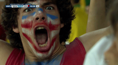 wild-usa-fan.w560.h309.2x.gif