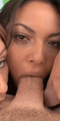 tumblr_ml3e3aHBlw1rairwqo3_r1_250.gif