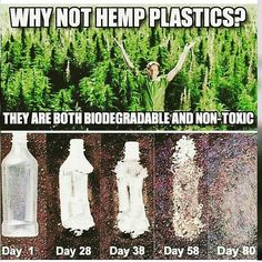 90fde2a09965c9d5f9d0a9b6067d5a54--environmentalist-why-not.jpg