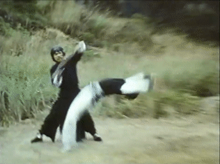 tumblr_p70taqpE8l1v6w3juo5_400.gif