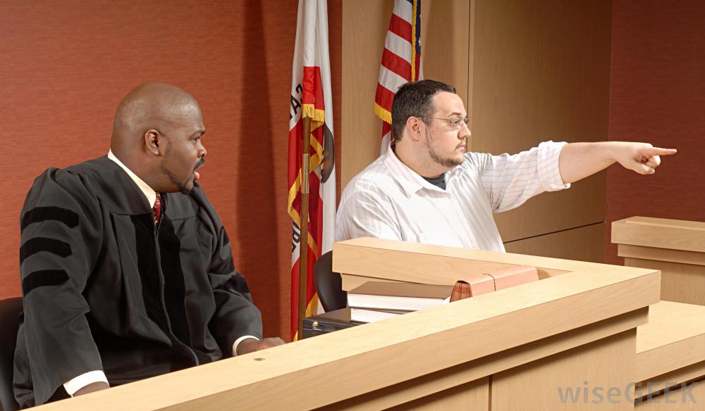 judge-and-witness.jpg