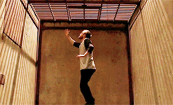 tumblr_mtk6y3KDJi1qb9jcko7_250.gif