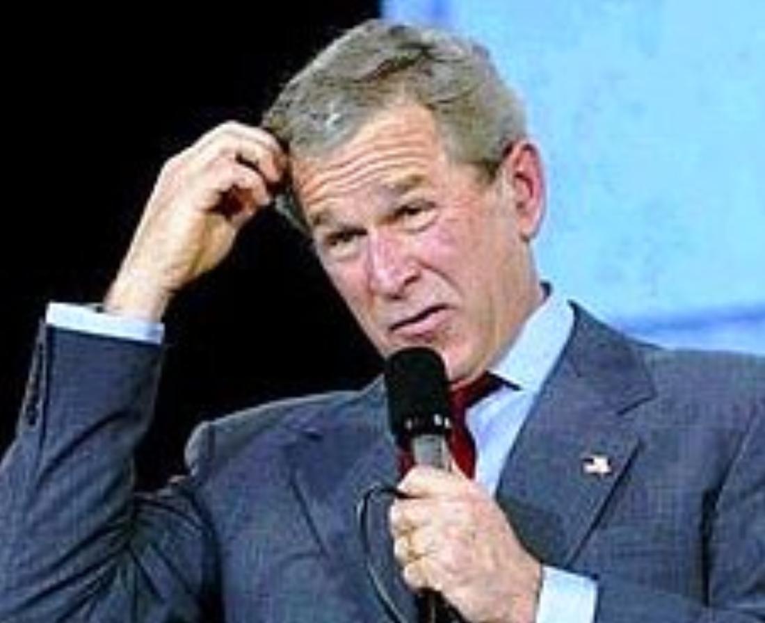 bush.jpg