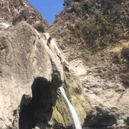 tumblr_o99sbcZdNg1qh8g8ko1_400.gif