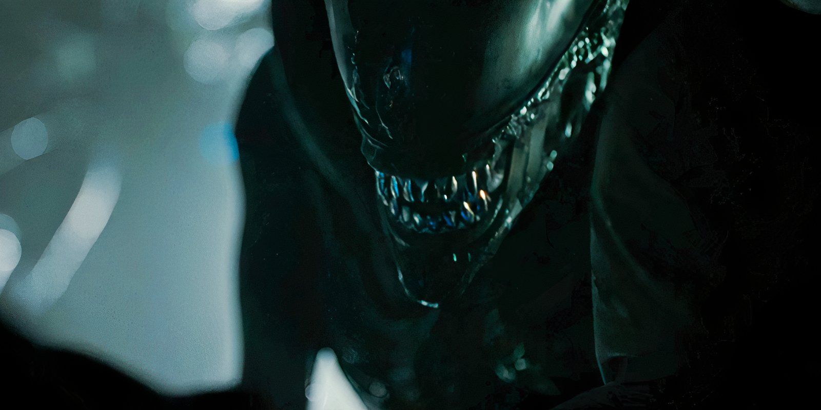 screenrant.com