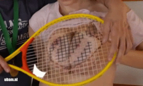 tumblr_oqpb1k1p0n1tb9zh5o9_500.gif
