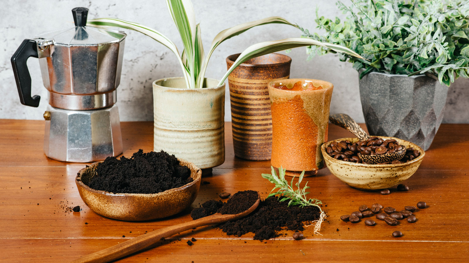 www.gardeningknowhow.com