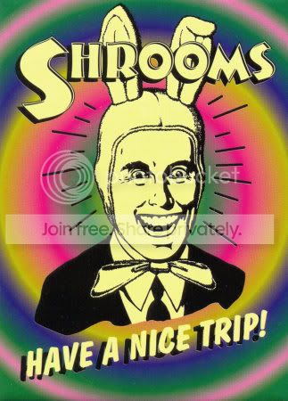 shrooms-posters.jpg