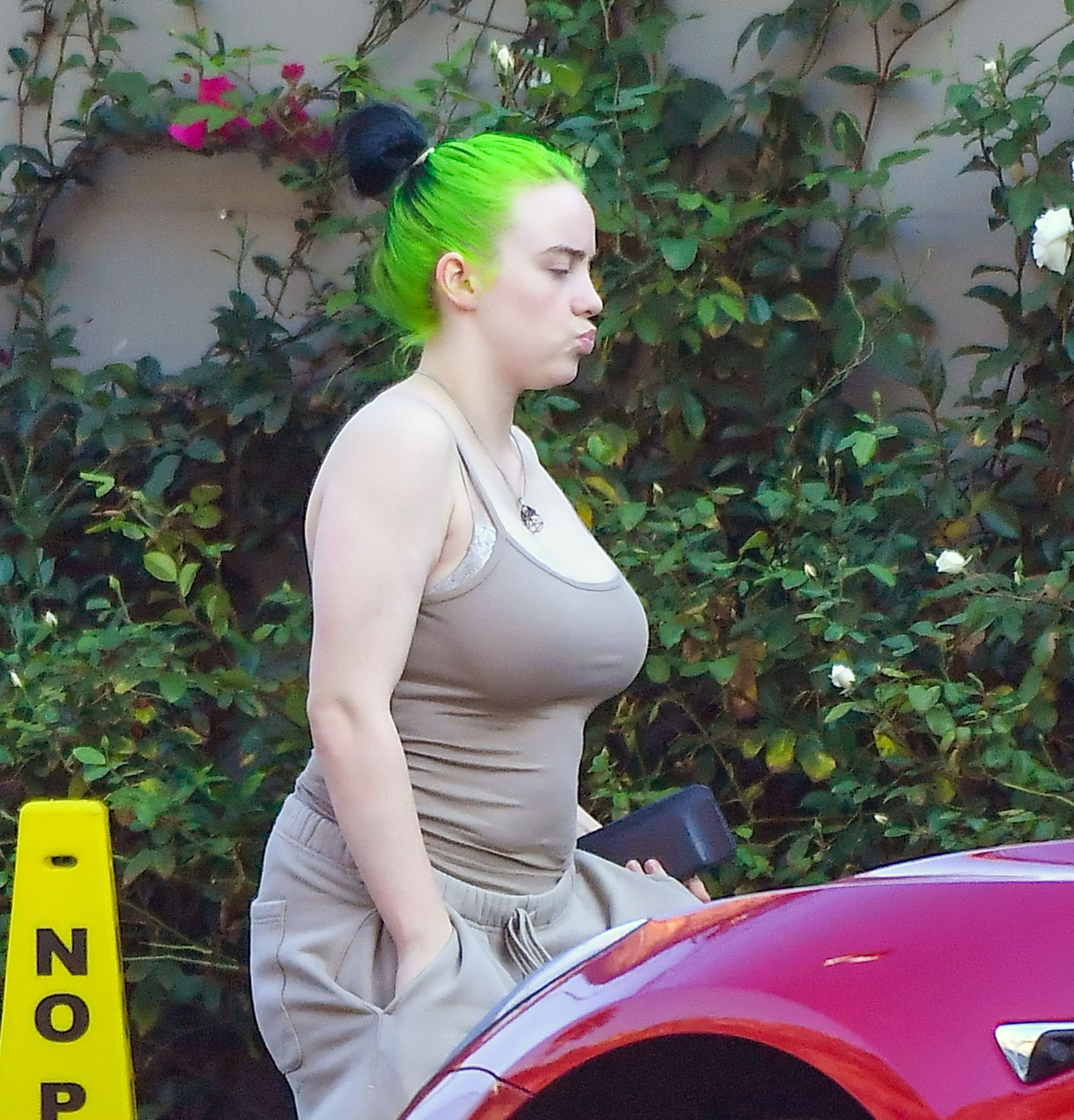 TheFappeningBlog-6-Billie-Eilish-Sexy.jpg