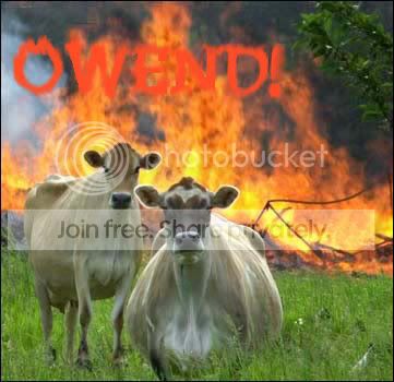 Owned-ByEvilCows.jpg