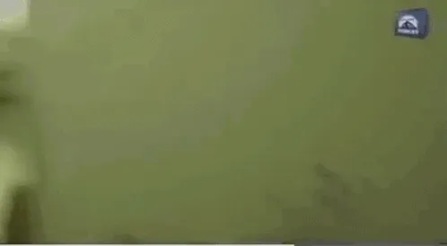 oj-simpson-killer-prank-jh8ba4bvrw1hid56.webp