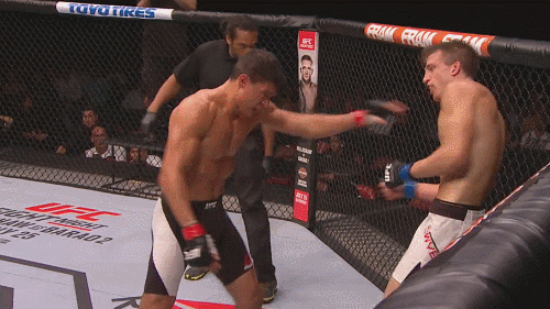 b05d3cb24cdfb5eeecdba40f4cfc1716.gif