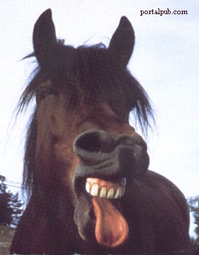 horse-yuck-copy.jpg